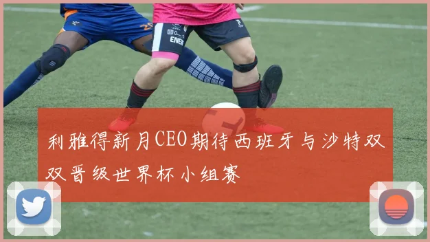 利雅得新月CEO期待西班牙与沙特双双晋级世界杯小组赛