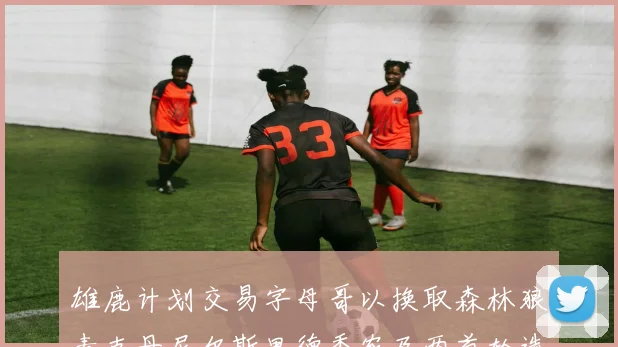雄鹿计划交易字母哥以换取森林狼麦克丹尼尔斯里德香农及两首轮选秀权